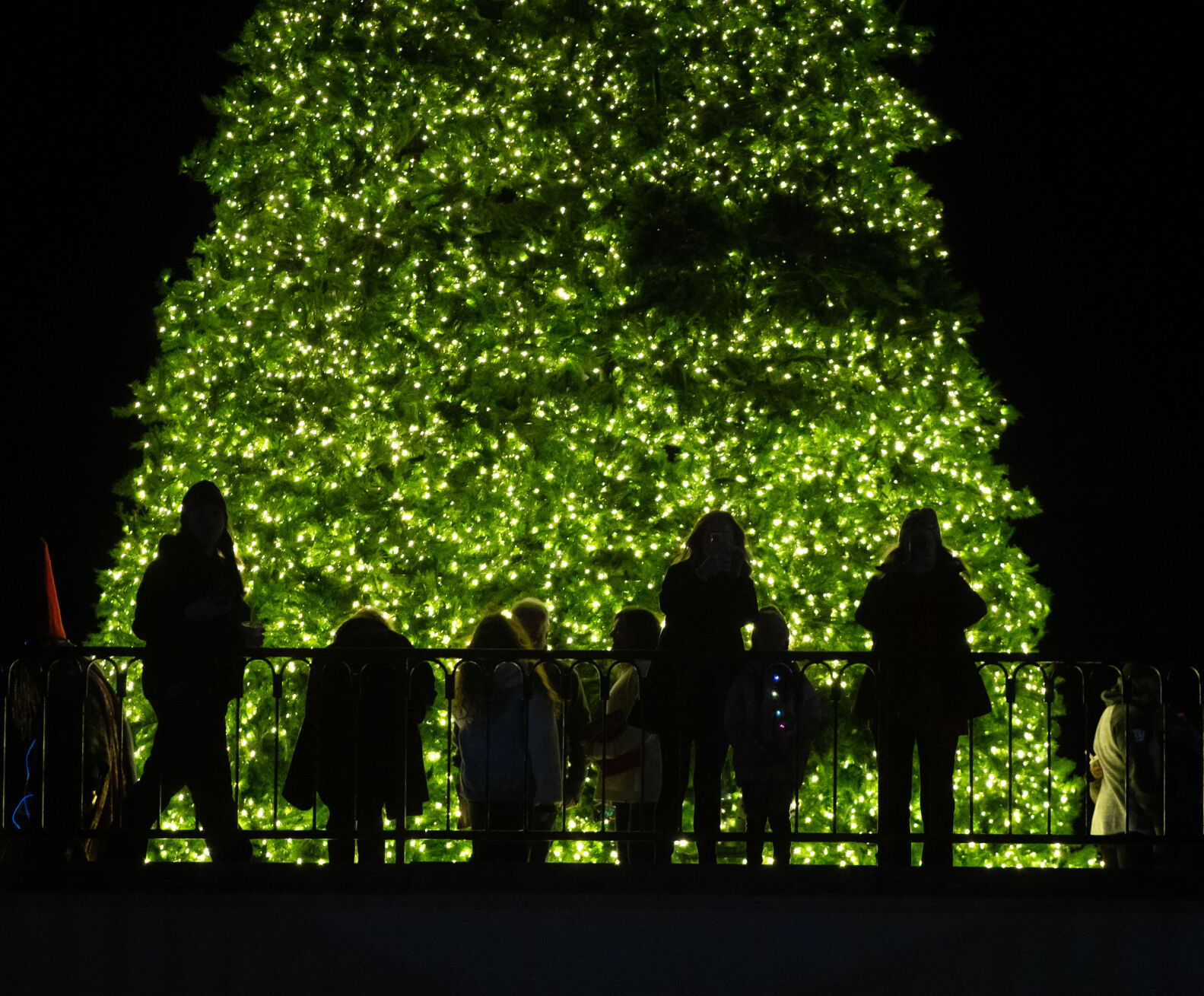 jackson square caroling.0007.jpg